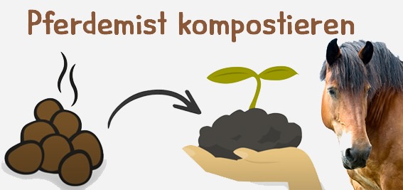 Pferdemist