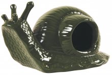 Schneckenfalle