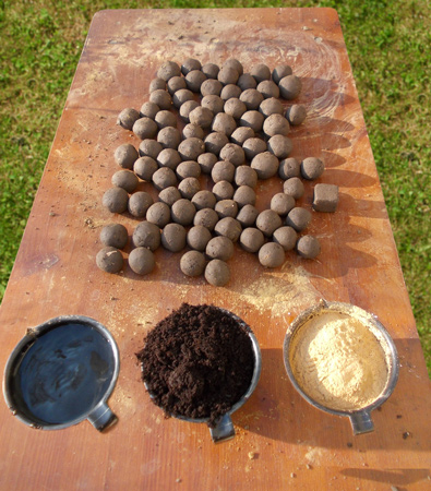 Seedbballs selber machen