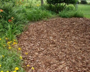 Mulch
