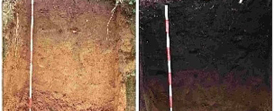 Terra Preta: Schwarzerde der Indios