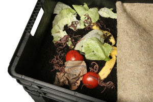 Wurmkiste mit Hanfmatte