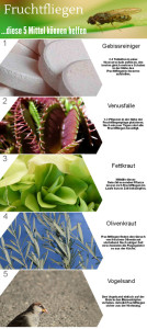 ruchtfliegen-Bekaempfung-Infografik