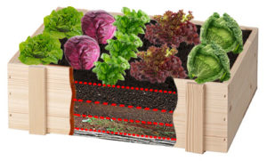 Hochbeet Anleitung Schichten