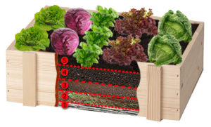 Hochbeet Anleitung Schichten