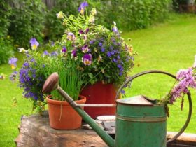 Gartenidylle