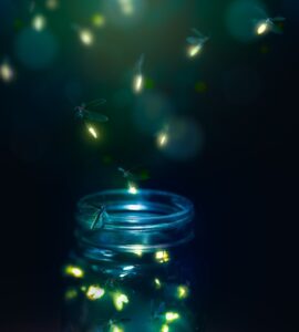 Einfache Gartengestaltung für Glühwürmchen