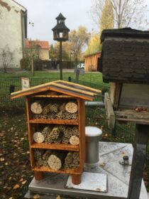 Biologische Schädlingsbekämpfung durch Artenschutz