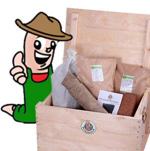 Wurmkiste mit Kompostwurm