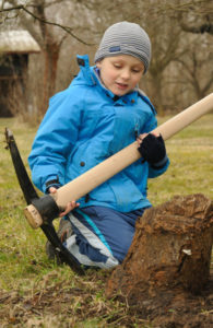 Baumstumpf ausgraben