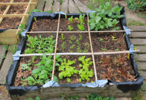 Garten Quadratmeter