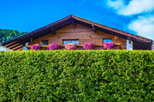 Holzhaus hinter hoher Hecke