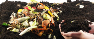 Kompost Material