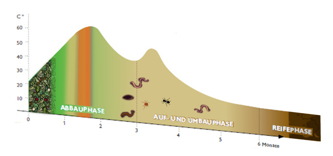 Kompost Temperatur und Reifekurve