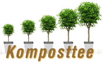 komposttee