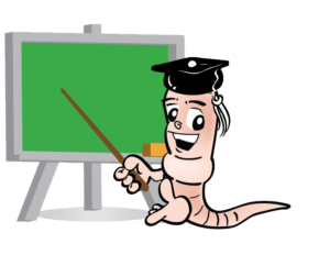 Regenwürmer & Lehrer