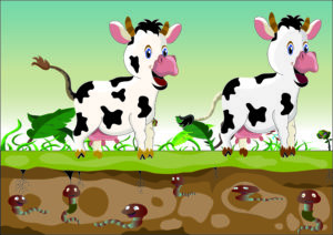 Hat der Bauer Mehr Kühe oder Regenwürmer?