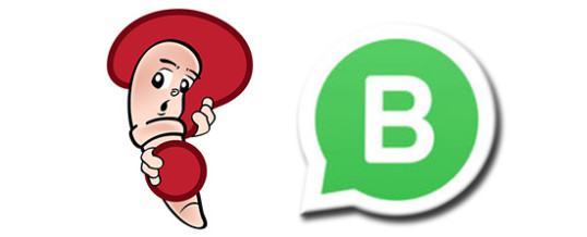 Whatsapp Support & Fragestunde